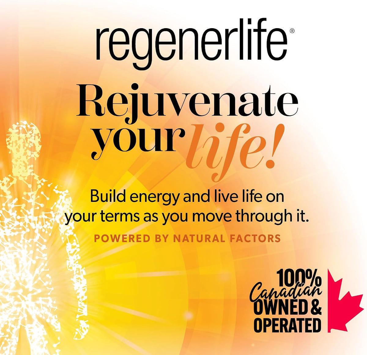 Regenerlife Acetyl-L-Carnitine 500mg - 90 V-Caps
