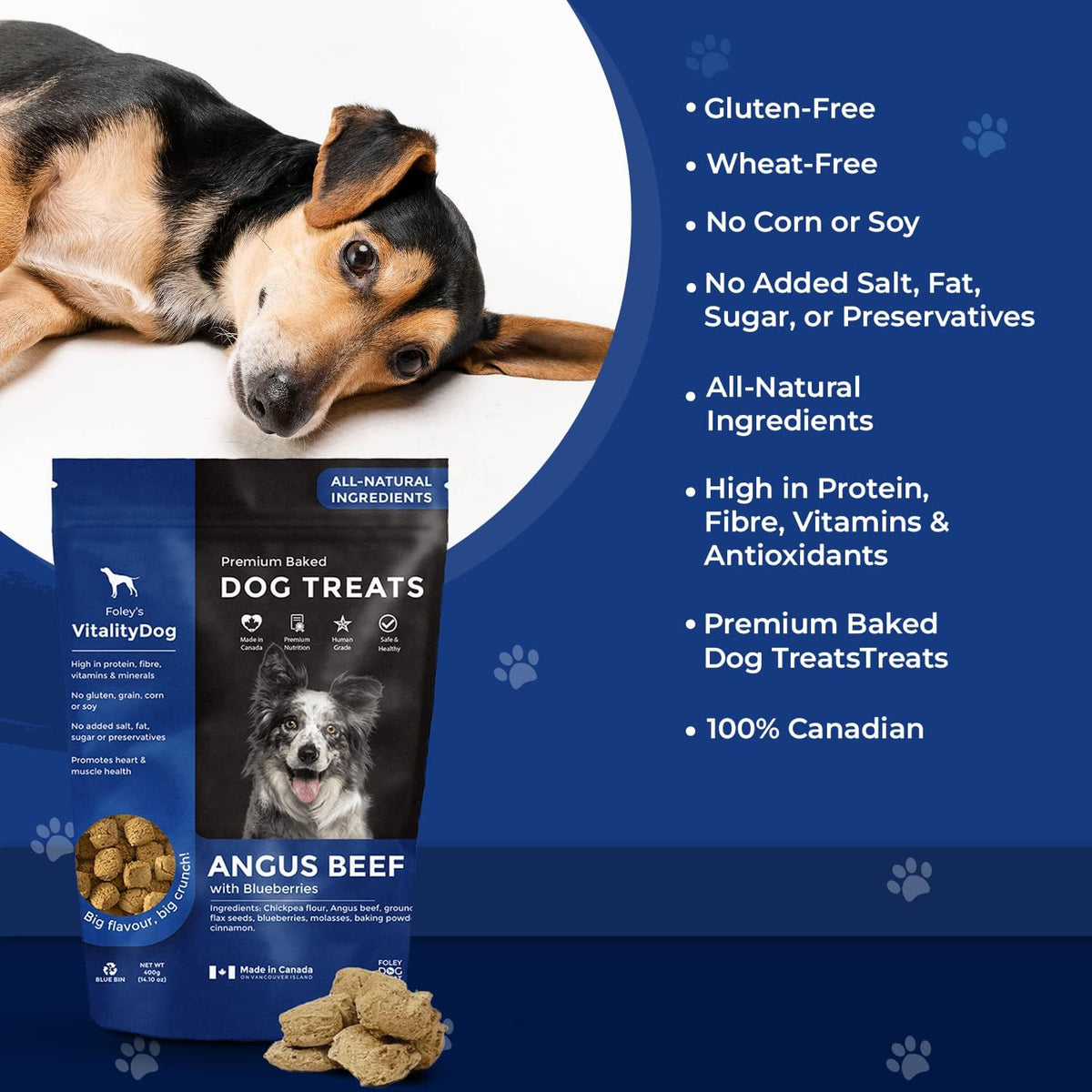 Premium Baked Dog Treats (Angus Beef With Blueberries) - 400g [amazon_upc] asin:B017AO83T8
