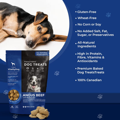 Premium Baked Dog Treats (Angus Beef With Blueberries) - 400g [amazon_upc] asin:B017AO83T8