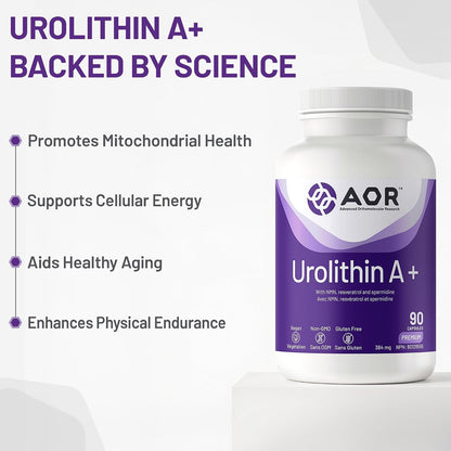 Urolithin A+ - 90 Caps [amazon_upc] asin:B0DDZW9WH7