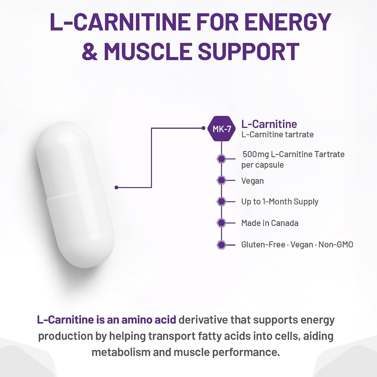 L-Carnitine 500mg - 120 V-Caps [amazon_upc] asin:B01IROPTMO