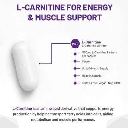 L-Carnitine 500mg - 120 V-Caps [amazon_upc] asin:B01IROPTMO
