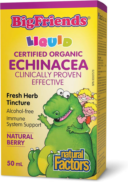 Big Friends Echinacea Fresh Herb Tincture (Natural Berry) - 50ml [amazon_upc] asin:B0DY363BGV