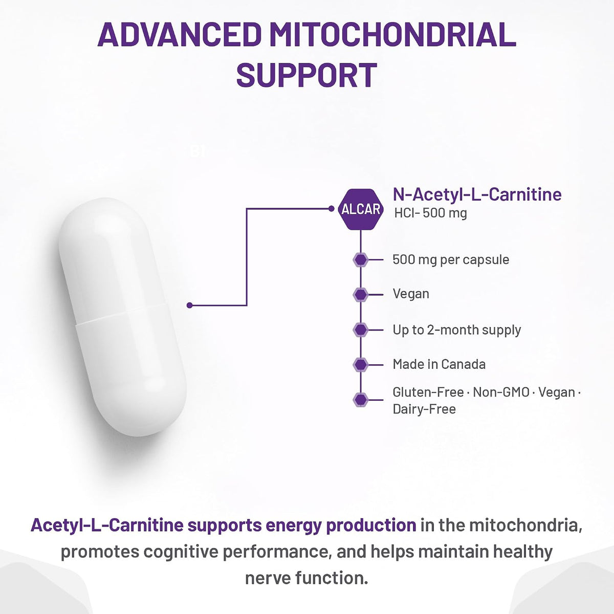 Alcar N-Acetyl-L-Carnitine 500mg - 120 V-Caps