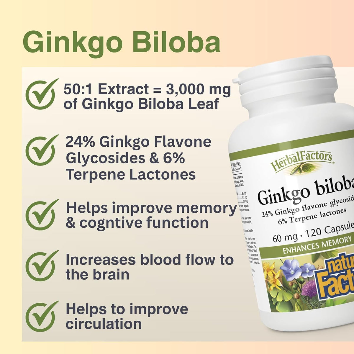 Ginkgo Biloba 60mg - 120 Caps [amazon_upc] asin:B00CP7T0HA