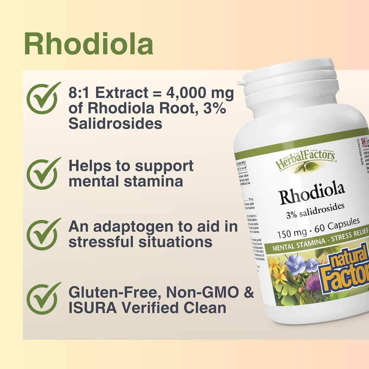 Rhodiola 150mg - 60 Caps