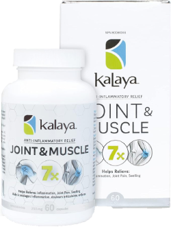7x Joint and Muscle Anti-Inflammatory Support - 60 Caps