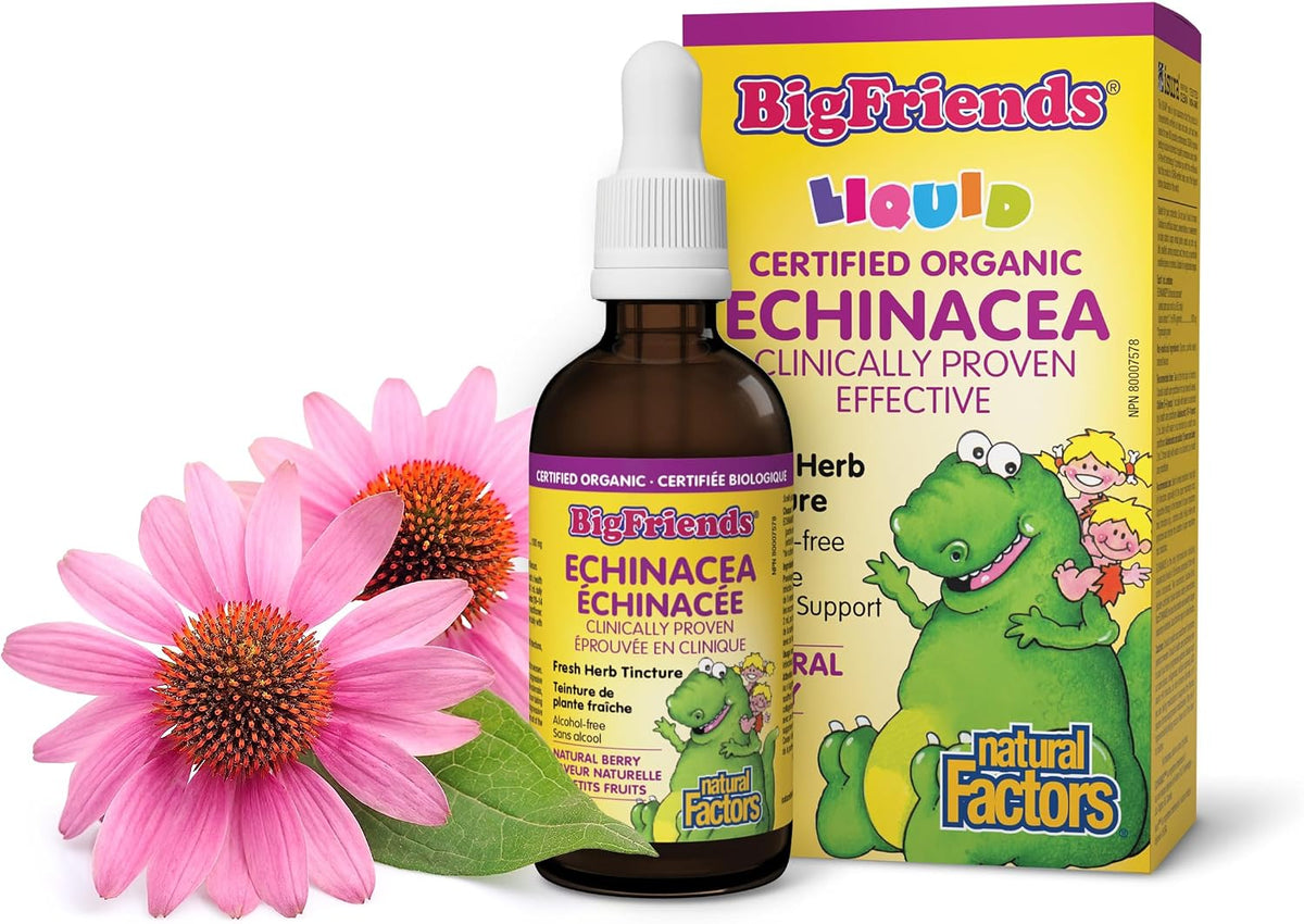 Big Friends Echinacea Fresh Herb Tincture (Natural Berry) - 50ml [amazon_upc] asin:B0DY363BGV