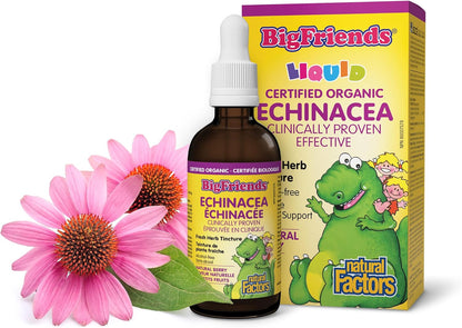 Big Friends Echinacea Fresh Herb Tincture (Natural Berry) - 50ml [amazon_upc] asin:B0DY363BGV