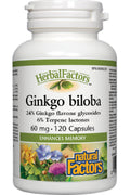 Ginkgo Biloba 60mg - 120 Caps