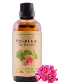 Geranium Oil - 100ml + BONUS