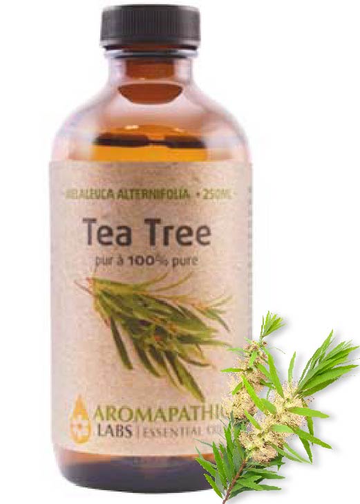 Tea Tree Oil - 250ml