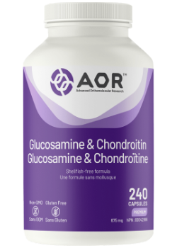 Glucosamine & Chondroitin - 240 Caps
