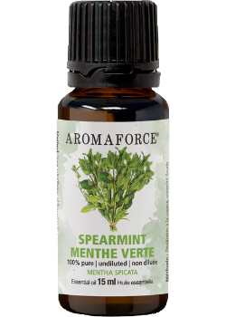 EO Spearmint - 15ml