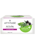 Nature+ Technology Air Purifier (Coriander & Olive) - 227g