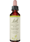 Chestnut Bud - 20ml