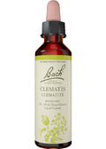 Clematis - 20ml
