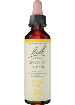 Gentian - 20ml