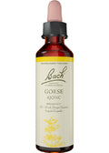 Gorse - 20ml