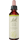 Olive - 20ml