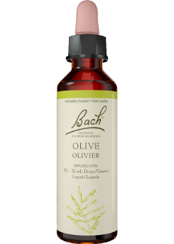 Olive - 20ml