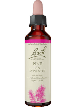 Pine - 20ml