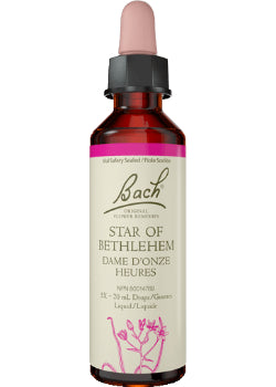 Star Of Bethlehem - 20ml