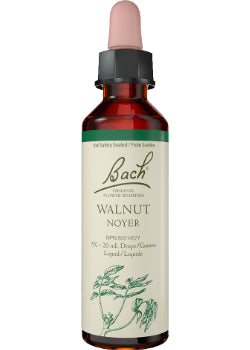 Walnut - 20ml