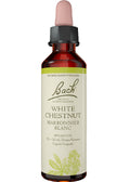 White Chestnut - 20ml
