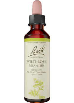 Wild Rose - 20ml