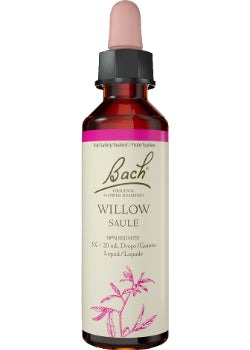 Willow - 20ml