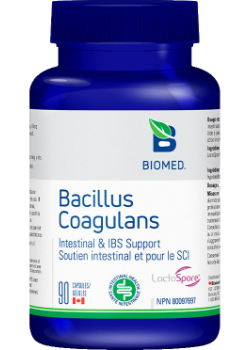 Bacillus Coagulans - 90 Caps