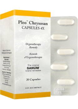 Sanum Pleo Chrysosan Capsules 4X - 20 Caps