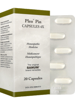 Sanum Pleo Pin (Pinikehl) Capsules 4X - 20 Caps