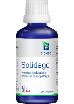 Solidago - 50ml