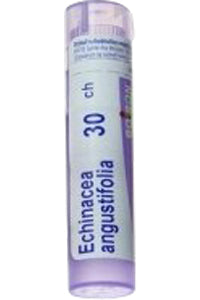 Echinacea Angustifolia 30C - 80 Pellets