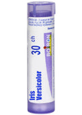 Iris Versicolor 30C - 80 Pellets