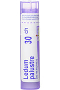 Ledum Palustre 30C - 80 Pellets