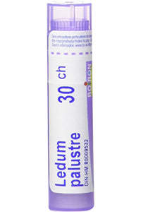 Ledum Palustre 30C - 80 Pellets
