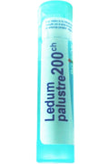 Ledum Palustre 200C - 80 Pellets