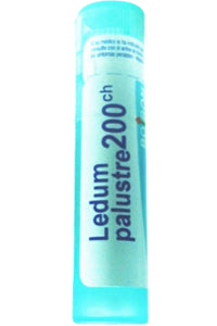 Ledum Palustre 200C - 80 Pellets