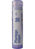 Plantago Major 30C - 80 Pellets