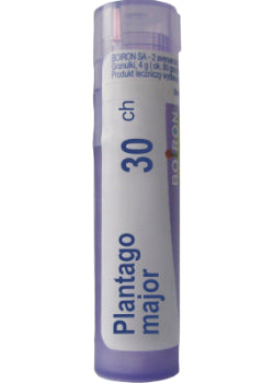 Plantago Major 30C - 80 Pellets
