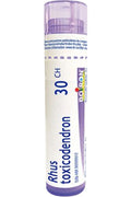 Rhus Toxicodendron 30C - 80 Pellets