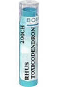 Rhus Toxicodendron 200C - 80 Pellets