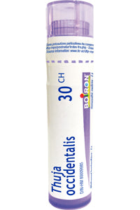 Thuja Occidentalis 30C - 80 Pellets