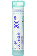 Thuja Occidentalis 200C - 80 Pellets