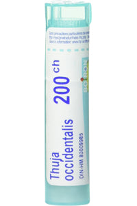 Thuja Occidentalis 200C - 80 Pellets