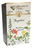 Angelica Root Tea (Organic) - 24 Tea Bags