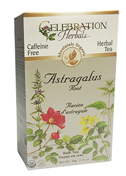 Astragalus Root Tea (Loose Organic) - 40g